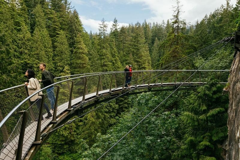 Capilano Suspension Bridge Park Ticket in Vancouver - Cliffwalk along the granite precipice