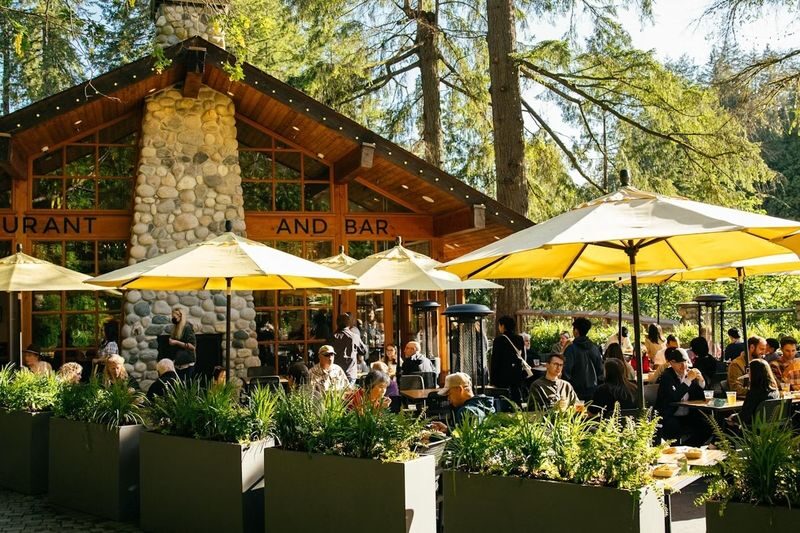 Capilano Suspension Bridge Park Ticket in Vancouver - The Living Forest and park interpretation