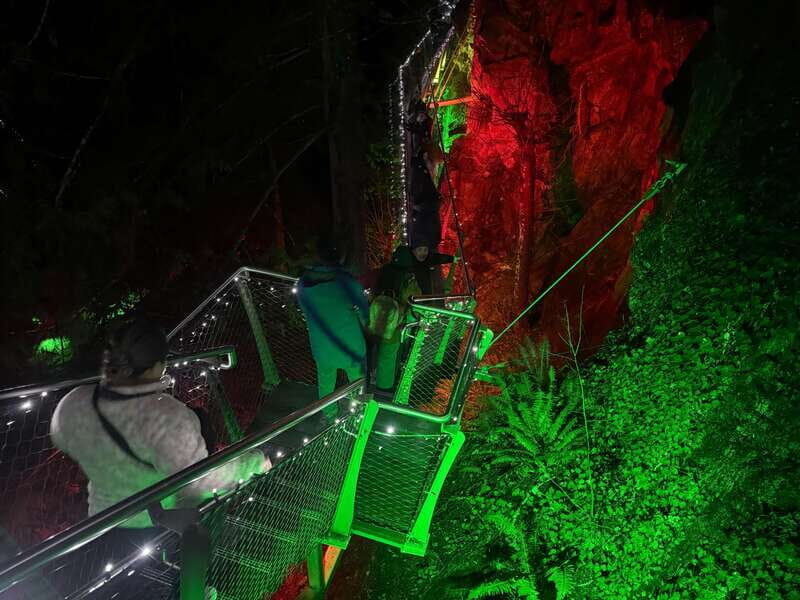 Capilano Suspension Bridge/Private/Small Group/By LUX CAR - Interactive and Relaxing Elements