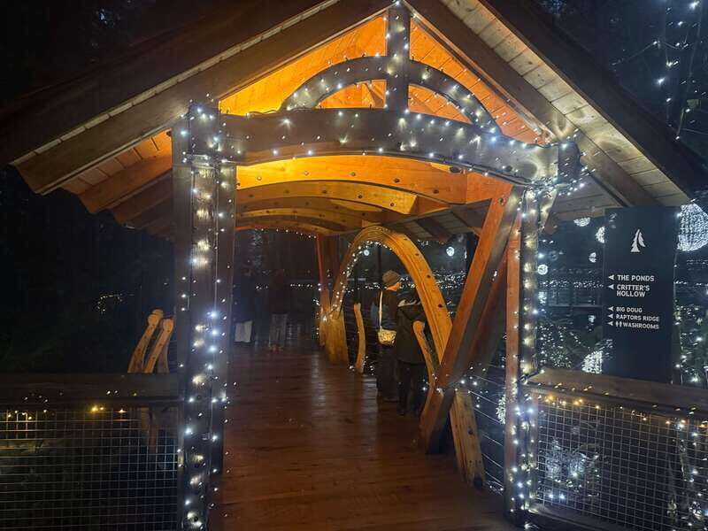 Capilano Suspension Bridge/Private/Small Group/By LUX CAR - Why This Tour Offers Great Value