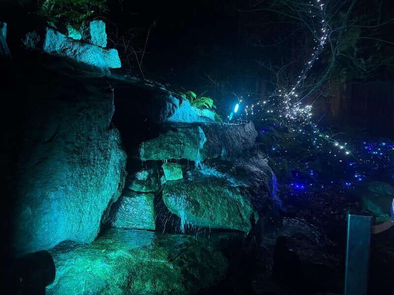 Capilano Suspension Bridge/Private/Small Group/By LUX CAR - Who Would Love This Experience?