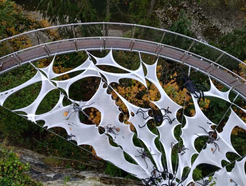 Capilano Suspension Br+Lake+Dam+Hachery/4in1/CAR/Small GROUP - Why This Tour Offers Outstanding Value