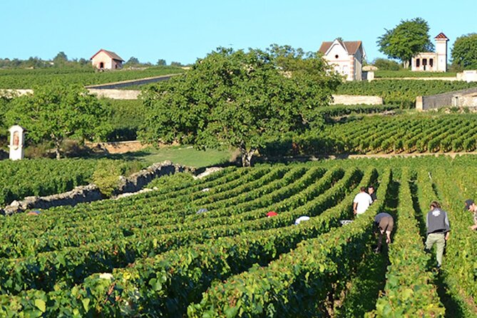 Capital City of the French Riviera Nice and the Wine Tour (From Nice) - Discovering the History of Winemaking in the Region