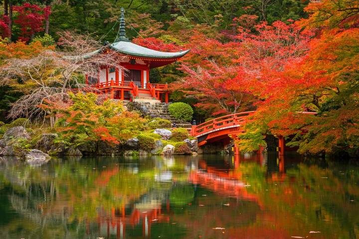 Capitals of Japan 11-Day Tour by Europamundo - Who should book this Japan circuit?