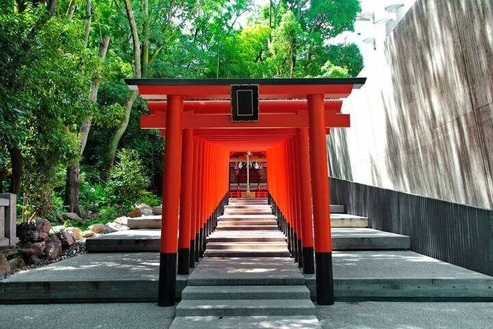 Capitals of Japan end Kyoto GO 8-Day Tour by Europamundo - What the price and pace mean for you