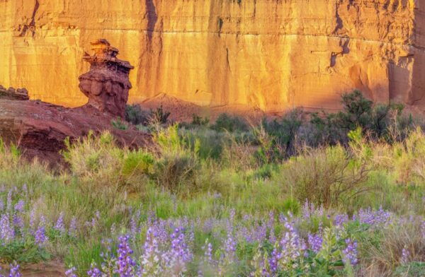 Capitol Reef National Park: Cathedral Valley Day Trip - The Sum Up