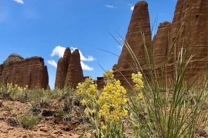 Capitol Reef Private Tour in Cathedral Valley and Bentonite Hills - Final Thoughts
