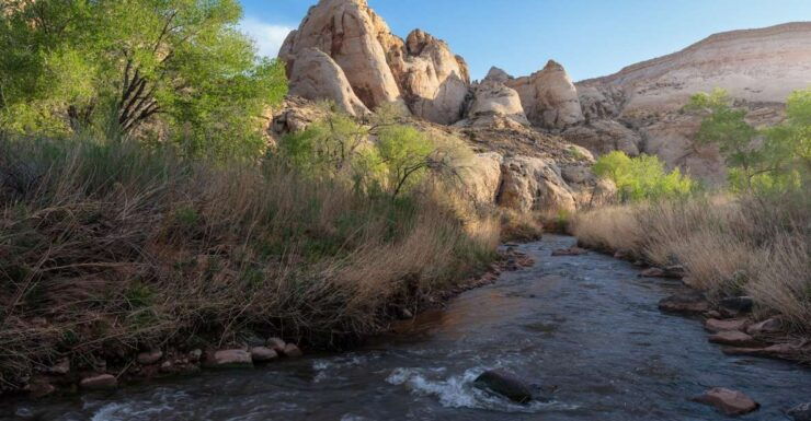 Capitol Reef Sunrise Photography Tour - Tour Details