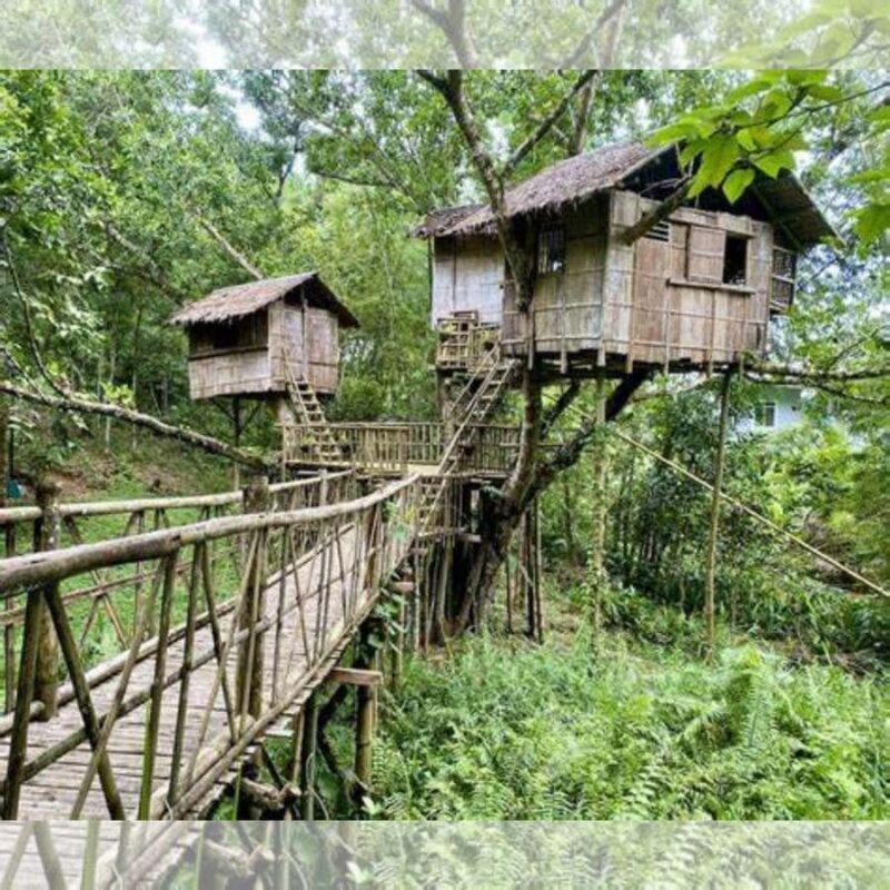 Capiz: Ecology and Cultural Tour - Exploring Capizs Natural and Cultural Highlights