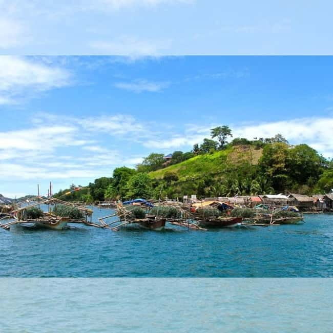 Capiz: Seafood Fiesta Culinary Tour - The Value of This Tour