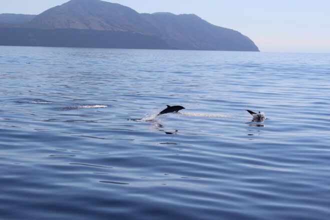 Capo Dorlando: Salina, Panarea, Stromboli Tour With Boat - Inclusions and Exclusions