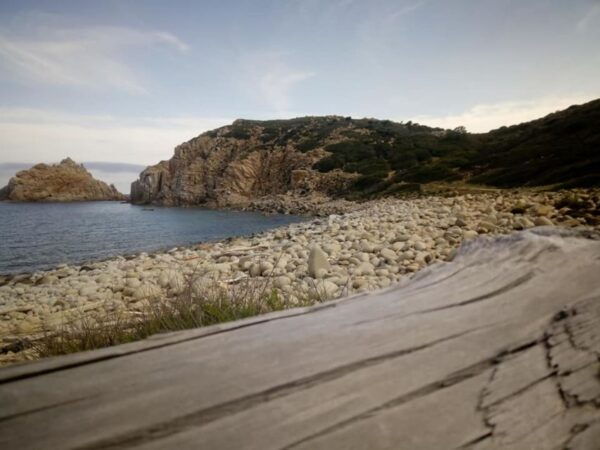 Capo Pecora: Trekking Tour to Scivu Beach With Aperitif - Points of Interest