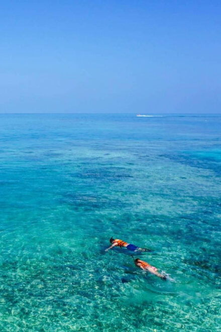 Capo Rizzuto: Explore Seabed With an Underwater Vision Boat - Inclusions