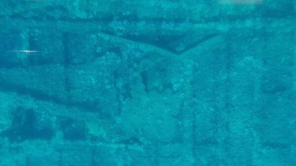 Capo Rizzuto: Explore Seabed With an Underwater Vision Boat - Refreshing Swim Stops