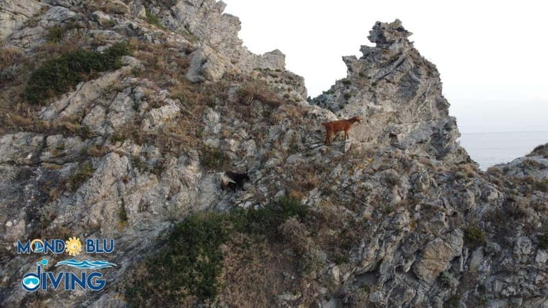 Capo Vaticano incantevole Tour Tramonto, sosta Praia i Focu. - The Sum Up