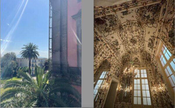 Capodimonte Museum Naples Tour - Post-Tour Experiences
