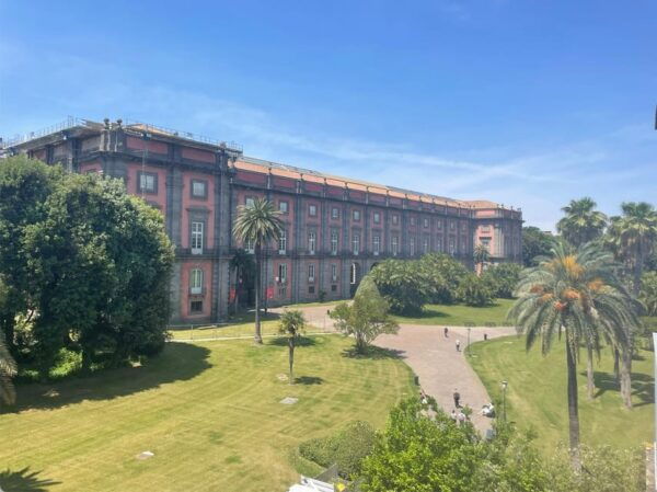 Capodimonte Museum Naples Tour - Contact Information