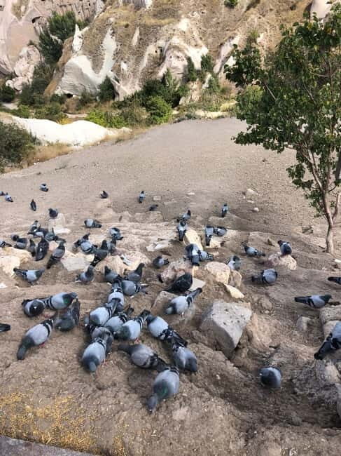 Cappadocia 1 or 2 Day Private Tour - How the Tour Balances Cost and Experience