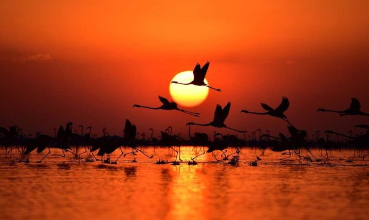 Cappadocia Amazing Sunset Tour To Salt Lake - Authentic Experiences from Reviews