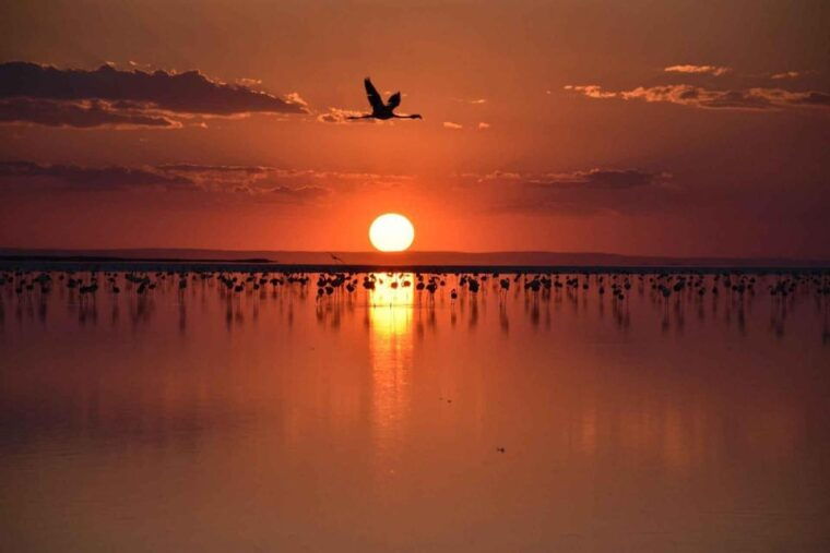 Cappadocia Amazing Sunset Tour To Salt Lake - FAQ