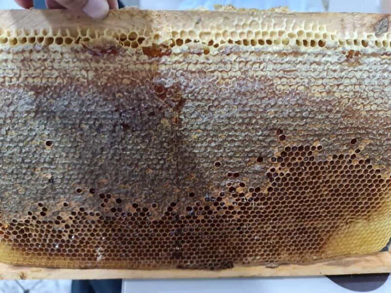 Cappadocia: Beekeeping Experience with Honey Tasting - Good To Know