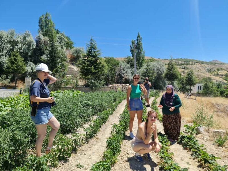 Cappadocia: Beekeeping Experience with Honey Tasting - FAQs