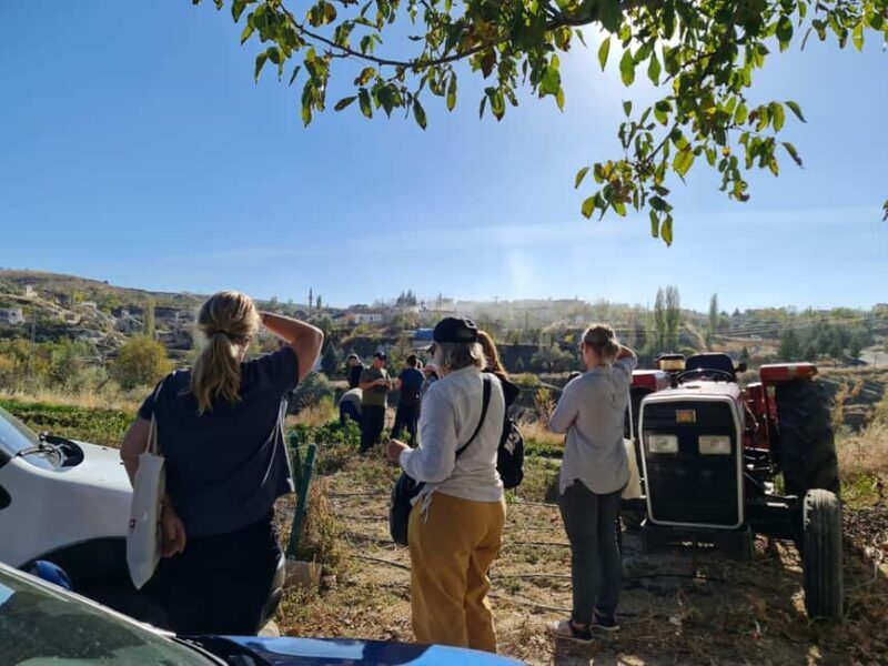Cappadocia: Beekeeping Experience with Honey Tasting - Final Thoughts