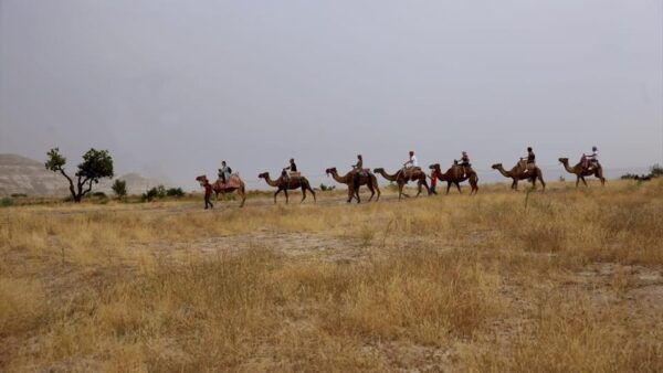 Cappadocia Camel Ride Among the Fairy Chimneys - Booking and Cancellation Policy