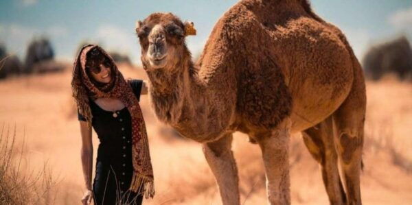 Cappadocia Camel Ride Among the Fairy Chimneys - Tips for a Memorable Ride
