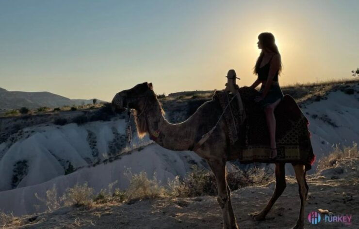 Cappadocia: Camel Riding (Sunrise Or Sunset Transfer) - Activity Highlights