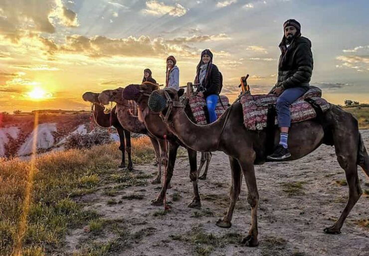 Cappadocia: Camel Safari - Booking Your Safari