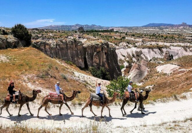 Cappadocia: Camel Safari - What to Expect