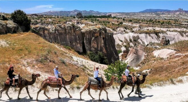 Cappadocia Camel Safari - Camel Care and Welfare