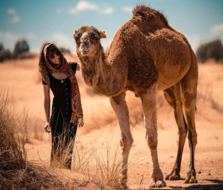 Cappadocia: Camel Safari With Transfer - Itinerary and Locations