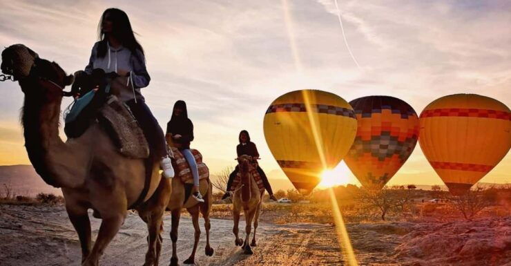 Cappadocia Camel Tours - Experience Highlights