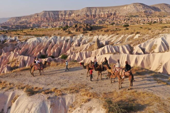Cappadocia Camel Tours - Customer Ratings