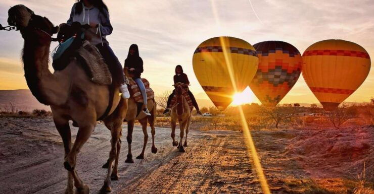 Cappadocia Camel Tours - Cancellation Policy Details