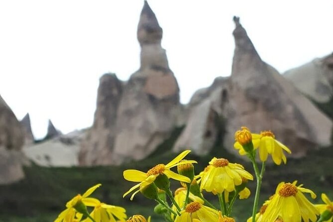 Cappadocia Daily South Tour - Tour Highlights