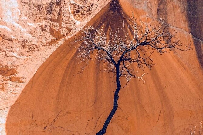 Cappadocia Daily South Tour - Cultural Experiences Included