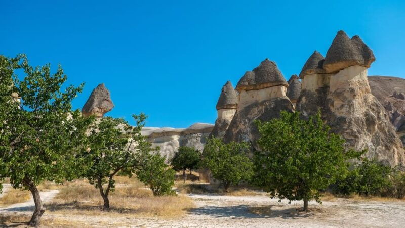 Cappadocia Excursion: Full-Day South Tour with Expert Guide - What You Can Expect on the Tour