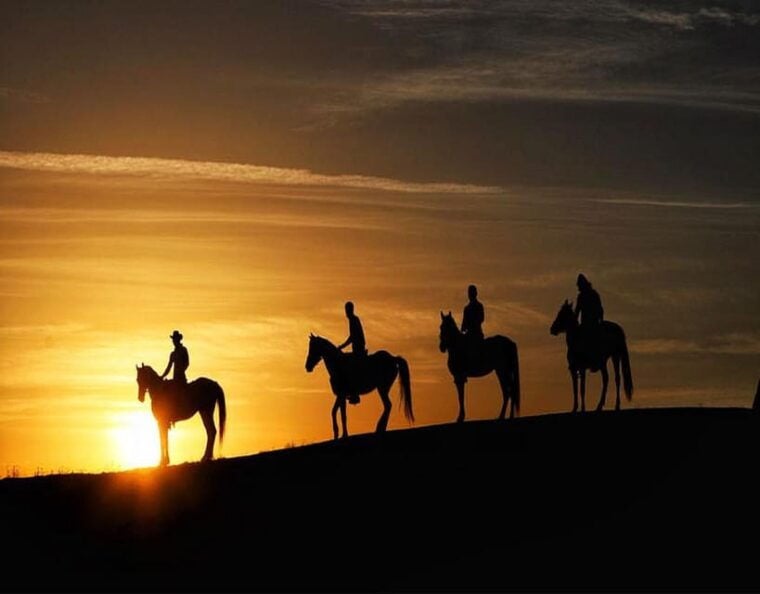 Cappadocia: Fascinating Horse Riding Tour in Unique Valleys - Why This Tour Is Worth Considering