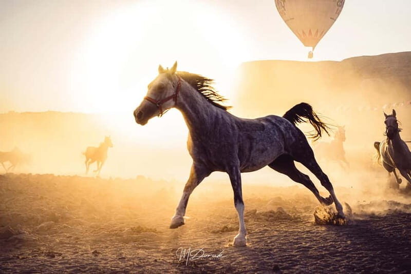 Cappadocia: Fascinating Horse Tour in Göreme Valleys - An In-Depth Look at the Tour Experience