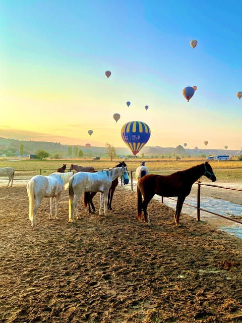 Cappadocia: Fascinating Horse Tour in Göreme Valleys - Itinerary Highlights