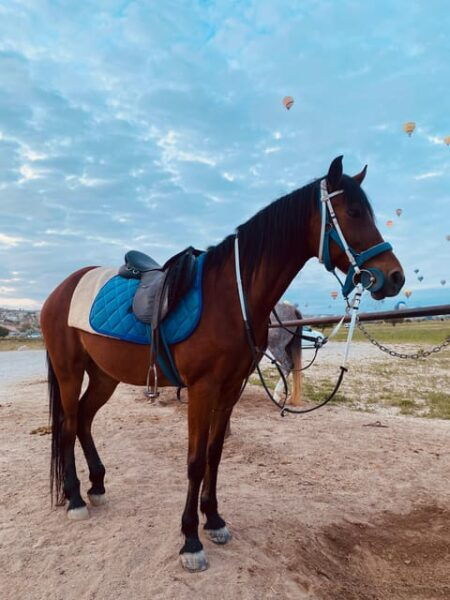 Cappadocia: Fascinating Horse Tour in Göreme Valleys - Booking Information