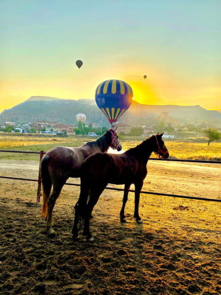 Cappadocia: Fascinating Horse Tour in Göreme Valleys - Frequently Asked Questions