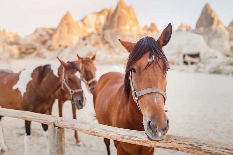 Cappadocia: Göreme Horse Riding, Fairy Chimneys w/Transfer - Final Thoughts