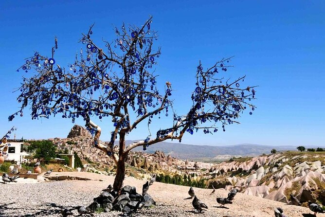 Cappadocia Green Tour - Payment and Cancellation