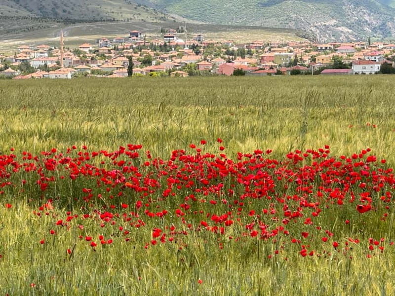 Cappadocia: Green Tour with Derinkuyu, Selime and Ihlara - The Sum Up