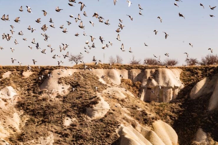 Cappadocia Green Tour With Tour Guide - Culinary Experience