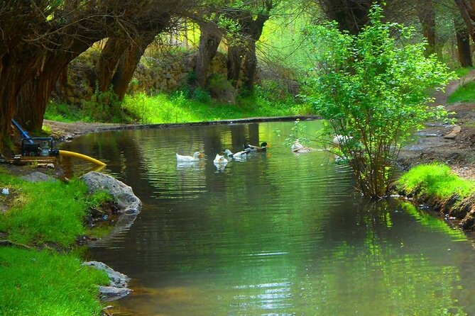 Cappadocia Highlights 9 Stop Tour With Lunch - Goreme - Mustafapasa Exploration
